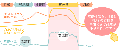  基礎体温をつけると、PMSの時期を予測できて対策が取りやすいですね