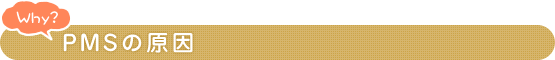 Why？ PMSの原因