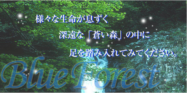 BLUE FOREST～蒼い森～