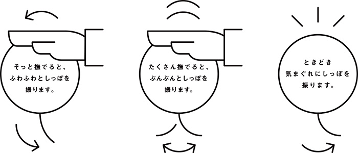 Petit Qooboとの戯れ方